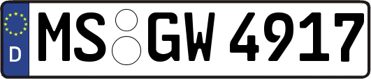 MS-GW4917