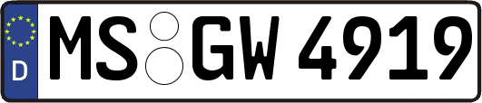 MS-GW4919