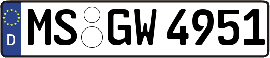MS-GW4951