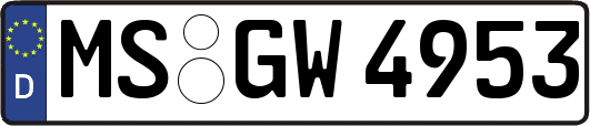 MS-GW4953