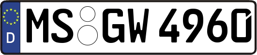 MS-GW4960