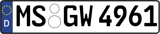 MS-GW4961