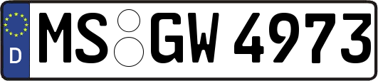 MS-GW4973