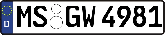 MS-GW4981