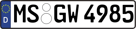 MS-GW4985