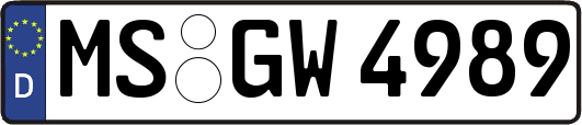 MS-GW4989