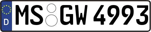 MS-GW4993