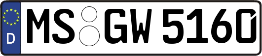 MS-GW5160