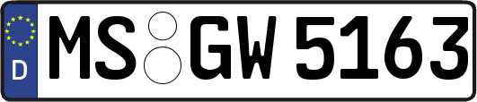 MS-GW5163
