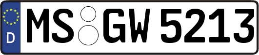 MS-GW5213