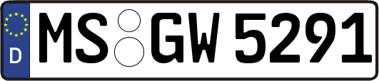 MS-GW5291