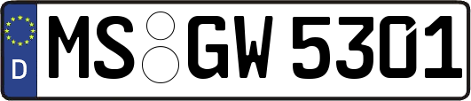 MS-GW5301