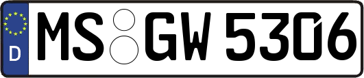 MS-GW5306