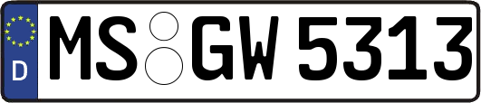 MS-GW5313