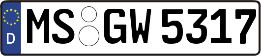 MS-GW5317