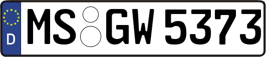 MS-GW5373