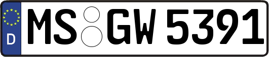 MS-GW5391