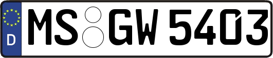 MS-GW5403