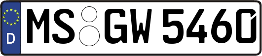 MS-GW5460