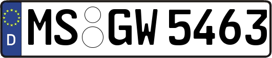 MS-GW5463