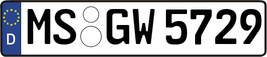 MS-GW5729