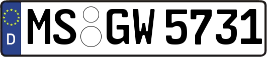 MS-GW5731