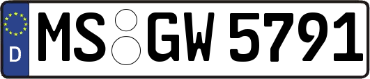 MS-GW5791