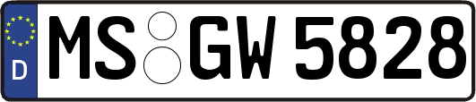 MS-GW5828