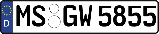 MS-GW5855