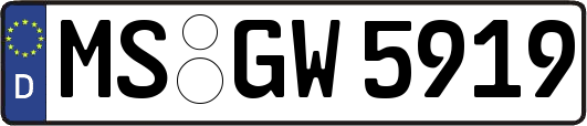 MS-GW5919