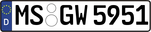 MS-GW5951