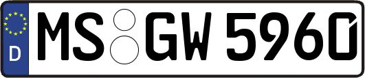 MS-GW5960