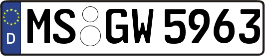 MS-GW5963