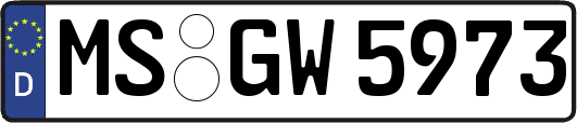 MS-GW5973
