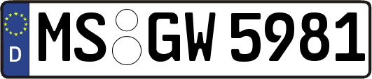 MS-GW5981