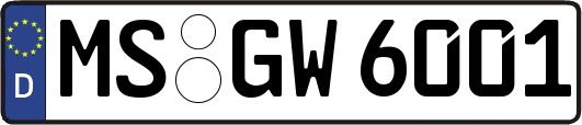 MS-GW6001