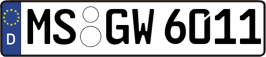 MS-GW6011