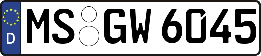 MS-GW6045