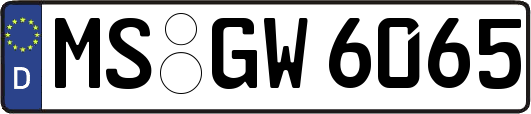 MS-GW6065