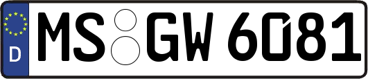 MS-GW6081
