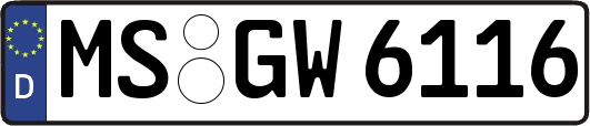 MS-GW6116