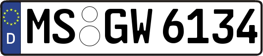 MS-GW6134