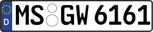 MS-GW6161