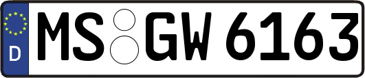 MS-GW6163