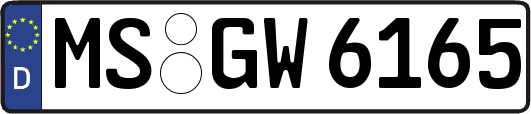 MS-GW6165