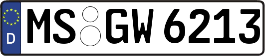 MS-GW6213