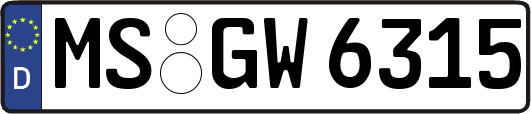 MS-GW6315
