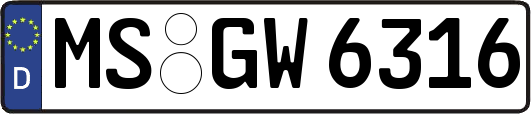 MS-GW6316