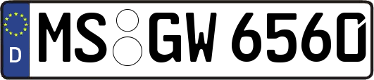 MS-GW6560