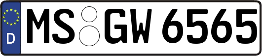 MS-GW6565